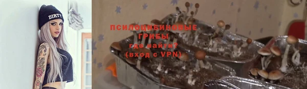 крисы Горнозаводск