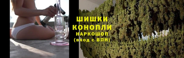 крисы Горнозаводск