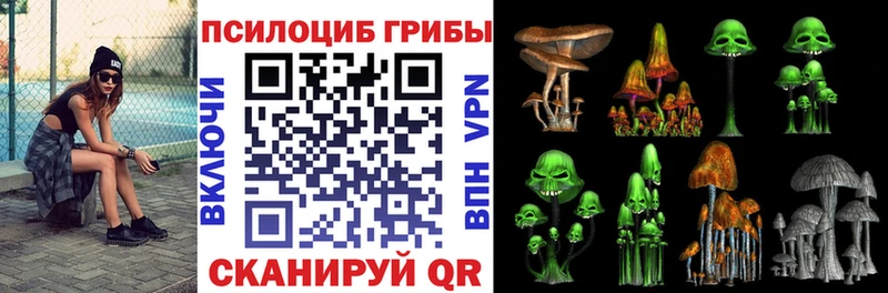 Купить закладки Можга Галлюциногенные грибы Cubensis